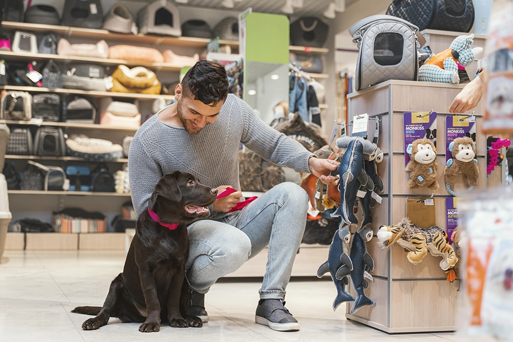 Petshop’ta Hangi Evcil Hayvanları Bulabilirim?