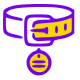 aksesuar